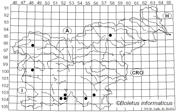 <i>Sphaerophorus globosus</i> (Huds.) Vain. (1903)