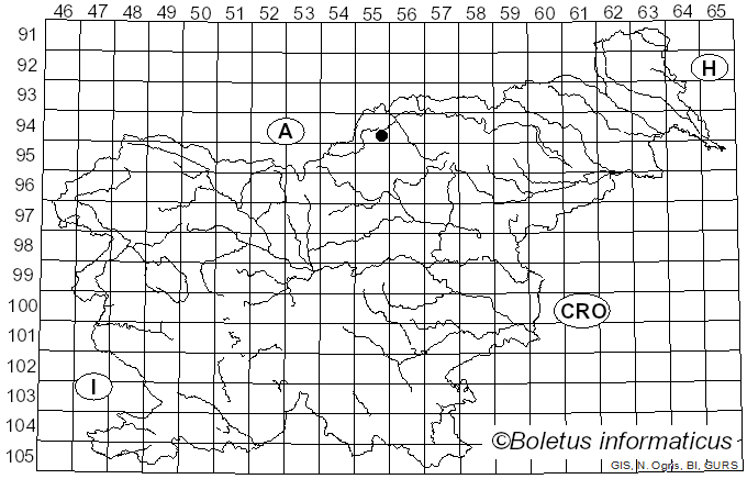 <i>Lirula nervisequia</i> var. <i>nervisequia</i> (DC.) Darker (1967)