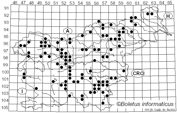 <i>Gloeophyllum sepiarium</i> (Wulfen) P. Karst. (1879)
