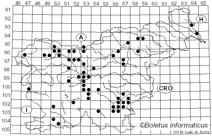 <i>Helvella acetabulum</i> (L.) Quél. (1874)