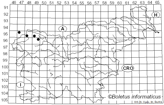 <i>Letharia</i> (Th. Fr.) Zahlbr (1892)