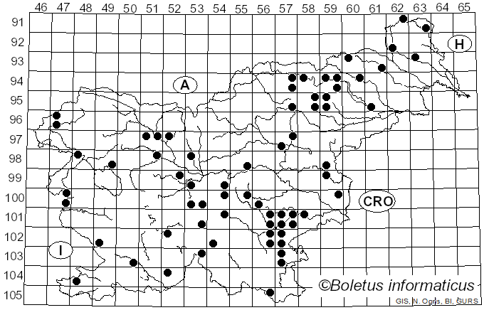 <i>Cortinarius cumatilis</i> Fr. (1838)
