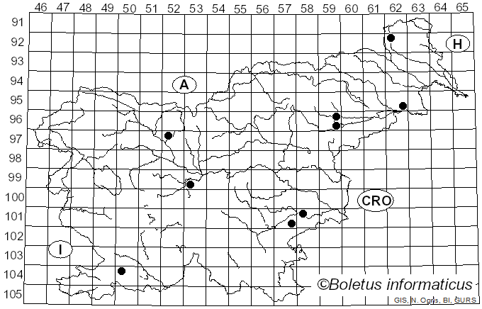 <i>Pleurotus calyptratus</i> (Lindblad) Sacc. (1887)