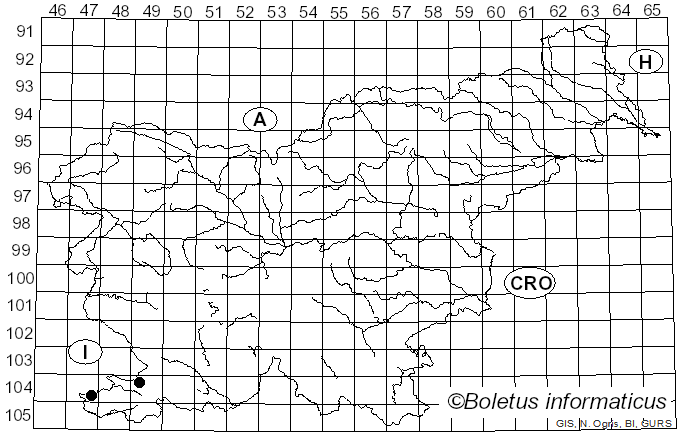 <i>Smardaea planchonis</i> (Dunal ex Boud.) Korf & W.Y. Zhuang (1991)