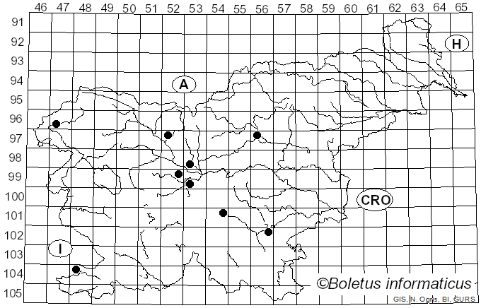 <i>Porodaedalea pini</i> (Brot.) Murrill (1905)