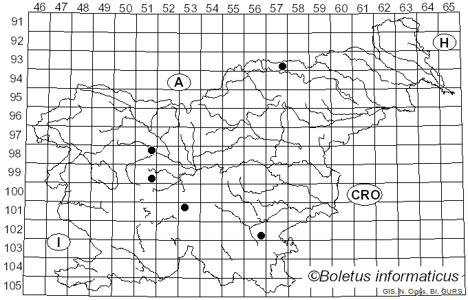 <i>Phialocephala</i> W.B. Kendr. (1961)