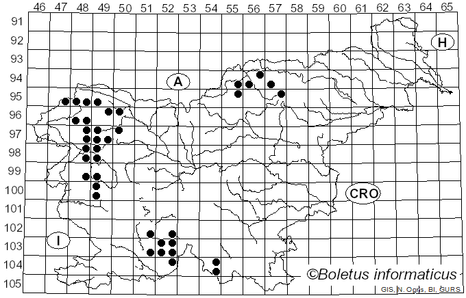 <i>Arthonia radiata</i> (Pers.) Ach. (1808)