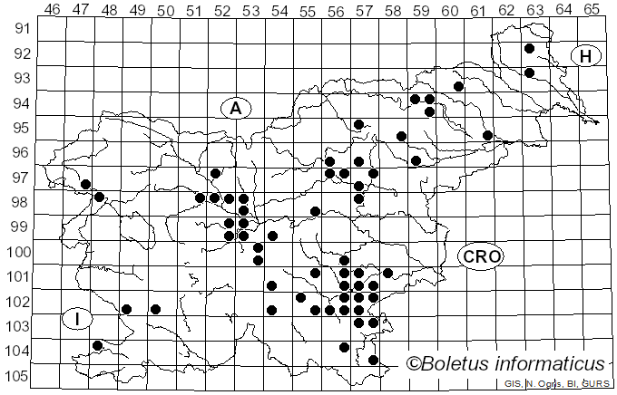 <i>Russula rubra</i> (Fr.) Fr. (1838)