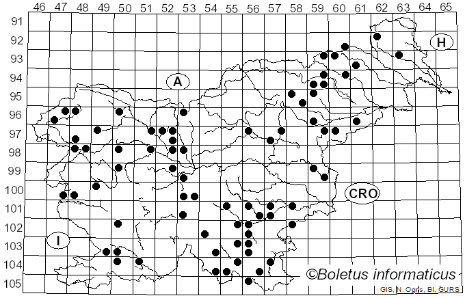 <i>Plicaturopsis crispa</i> (Pers.) D.A. Reid (1964)