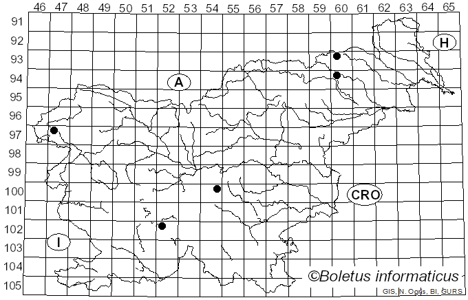 <i>Limacellopsis</i> Zhu L. Yang, Q. Cai & Y.Y. Cui (2018)
