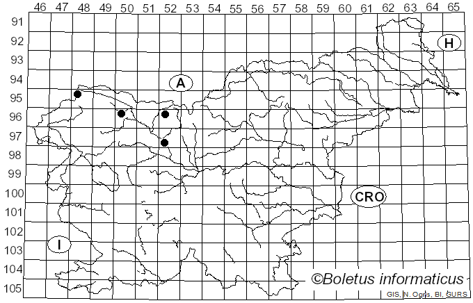 <i>Lactarius leonis</i> Kytöv. (1984)
