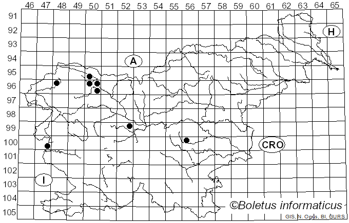 <i>Dialonectria episphaeria</i> (Tode) Cooke (1884)