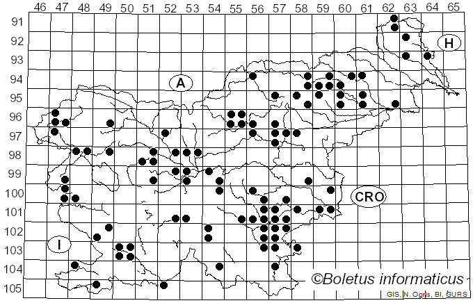 <i>Russula parazurea</i> Jul. Schäff. (1931)
