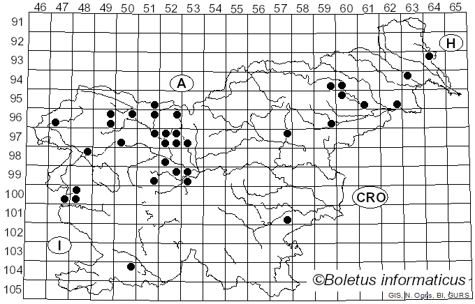 <i>Dumontinia tuberosa</i> (Bull.) L.M. Kohn (1979)
