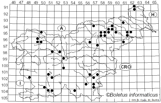 <i>Amanita magnivolvata</i> Aalto (1974)