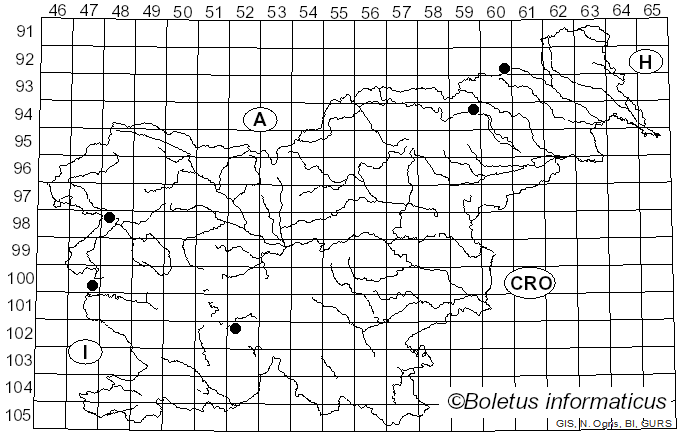 <i>Peniophora polygonia</i> (Pers.) Bourdot & Galzin (1928)