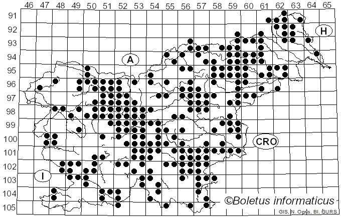 <i>Amanita citrina</i> Pers. (1797)