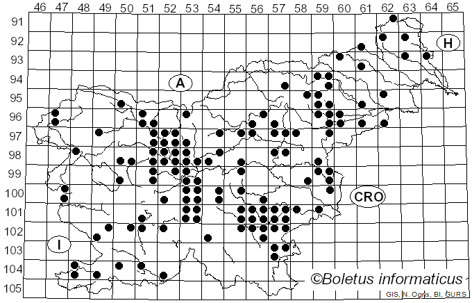 <i>Helvella crispa</i> (Scop.) Fr. (1822)