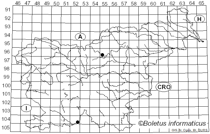 <i>Anisomeridium biforme</i> (Borrer) R.C. Harris (1978)
