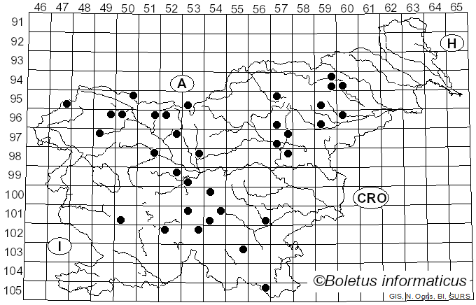 <i>Melanoleuca cognata</i> (Fr.) Konrad & Maubl. (1927)