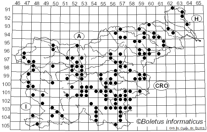 <i>Marasmius rotula</i> (Scop.) Fr. (1838)