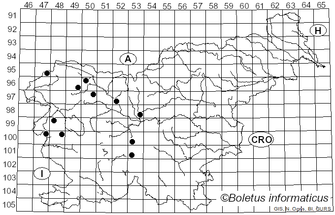 <i>Lactarius intermedius</i> Krombh. ex Berk. & Broome (1881)