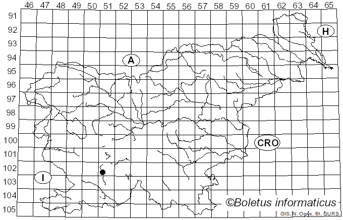 <i>Macrophomina phaseolina</i> (Tassi) Goid. (1947)