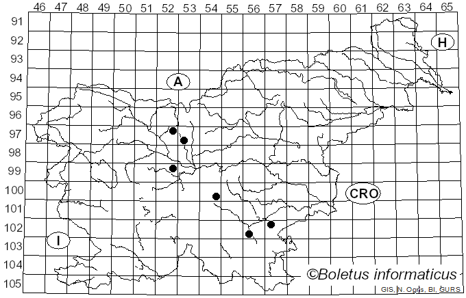 <i>Acetabula</i> (Fr.) Fuckel (1870)