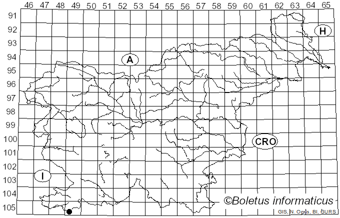 <i>Cortinarius eucaerulescens</i> Rob. Henry (1989)
