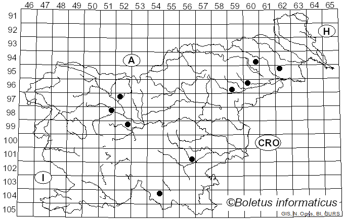 <i>Russula odorata</i> Romagn. (1950)