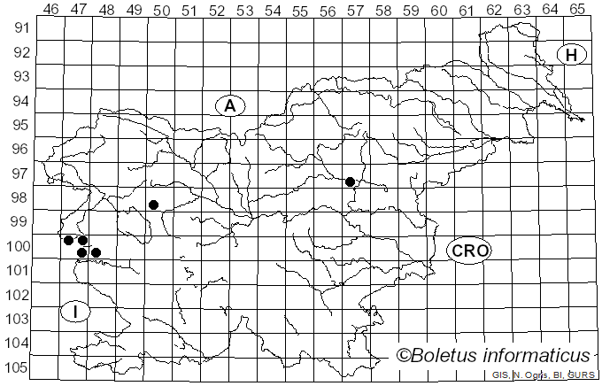 <i>Calonectria pseudonaviculata</i> (Crous, J.Z. Groenew. & C.F. Hill) L. Lombard, M.J. Wingf. & Crous (2010)