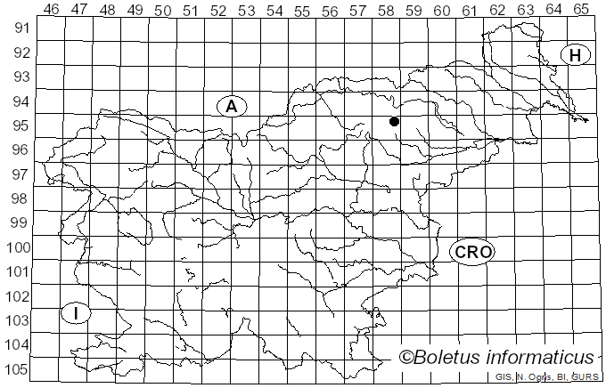 <i>Anisomeridium ranunculosporum</i> (Coppins & P. James) Coppins (2002)