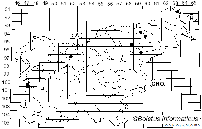 <i>Inocybe haemacta</i> (Berk. & Cooke) Sacc. (1887)