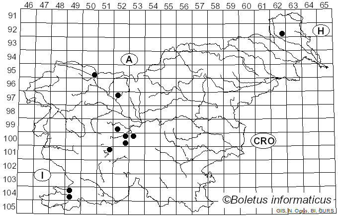<i>Xanthogramma pedissequum</i> Harris (1776)