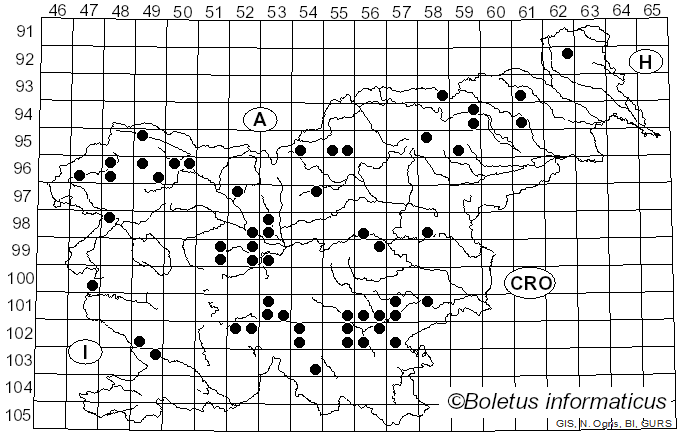 <i>Gloeophyllum abietinum</i> (Bull.) P. Karst. (1882)
