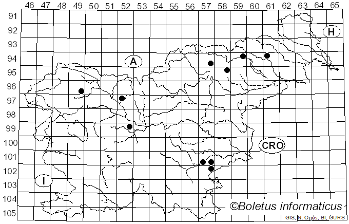 <i>Cortinarius comptulus</i> M.M. Moser (1968)
