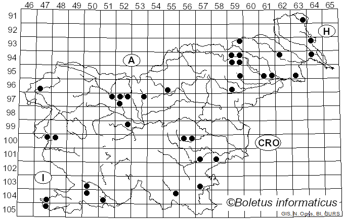 <i>Hortiboletus</i> Simonini, Vizzini & Gelardi (2015)