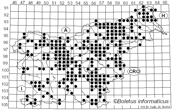 <i>Craterellus</i> Pers. (1825)