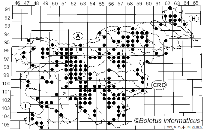<i>Craterellus lutescens</i> (Fr.) Fr. (1838)