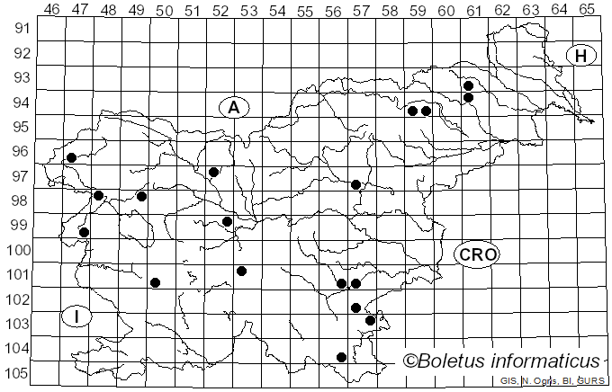 <i>Lactarius curtus</i>