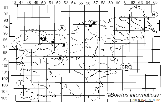 <i>Pseudomicrostroma juglandis</i> (Bérenger) Kijporn. & Aime (2017)