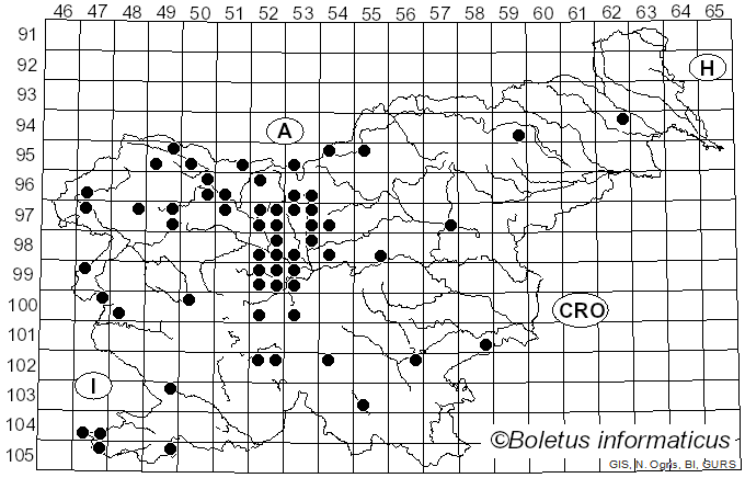 <i>Uromyces</i> (Link) Unger (1832)