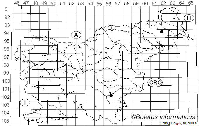 <i>Arrhenia retiruga</i> (Bull.) Redhead (1984)