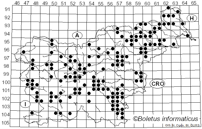<i>Agaricus campestris</i> L. (1753)