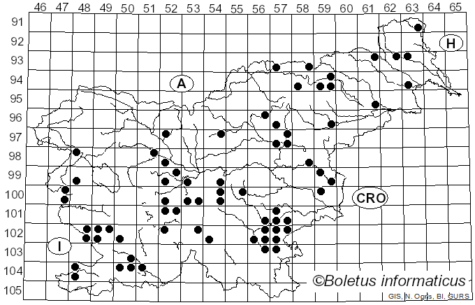 <i>Agaricus urinascens</i> (Jul. Schäff. & F.H. Møller) Singer (1951)