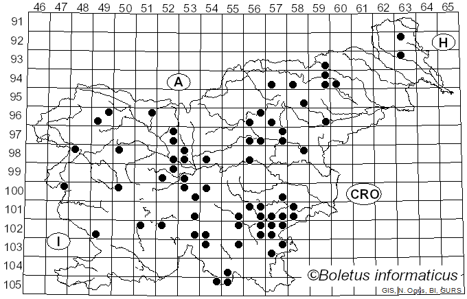 <i>Osmoporus</i> Singer (1944)