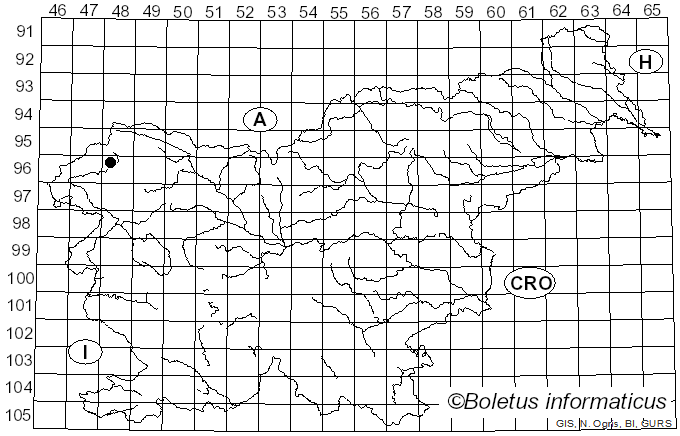 <i>Fuligo intermedia</i> T. Macbr. (1922)