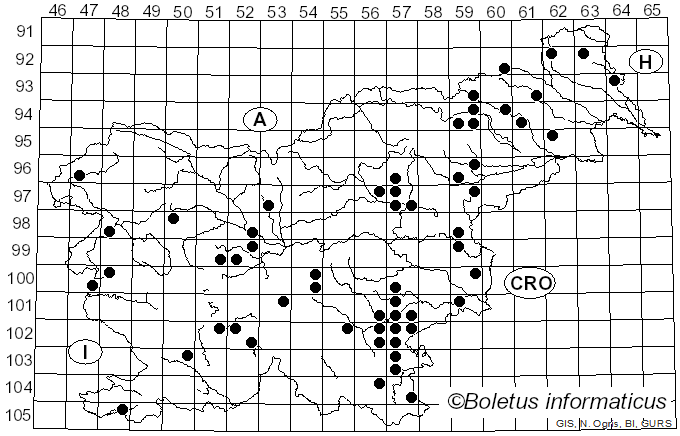 <i>Psathyrella spadiceogrisea</i> (Schaeff.) Maire (1937)