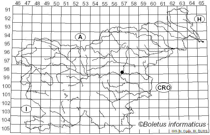 <i>Cystodermella cinnabarina</i> (Alb. & Schwein.) Harmaja (2002)
