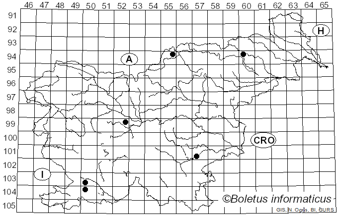 <i>Irpiciporus</i> Murrill (1905)